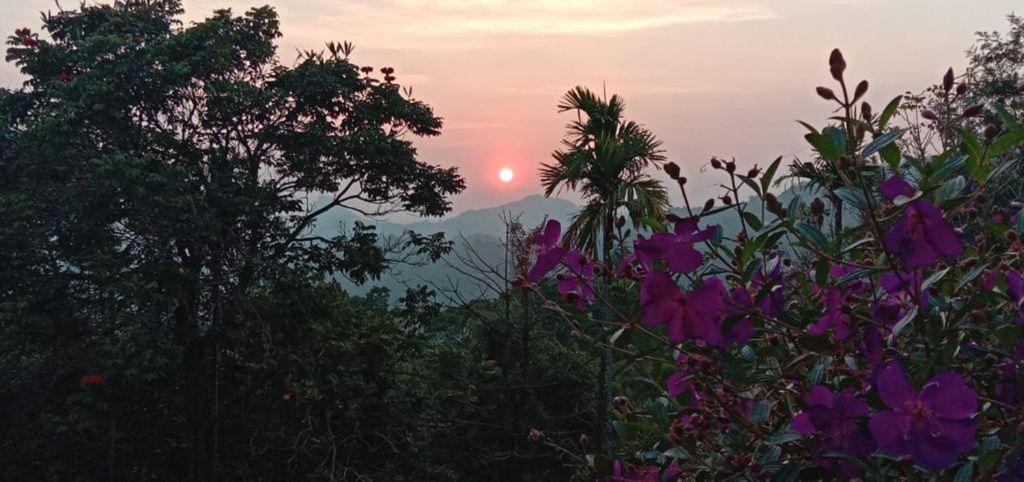 Munnar Tent Hills Resort Devikulam Exterior foto