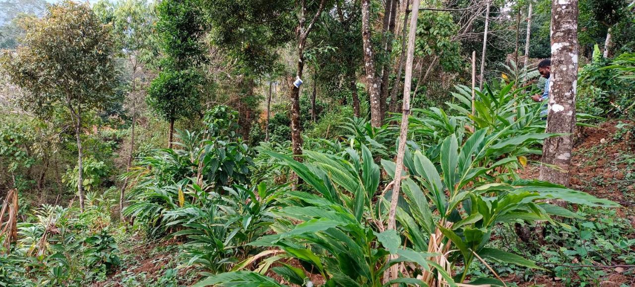 Munnar Tent Hills Resort Devikulam Exterior foto